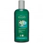 Shampoo Riparatore al Ginkgo