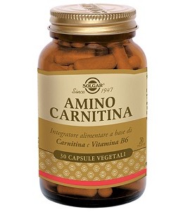 Amino Carnitina