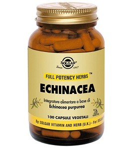 Echinacea