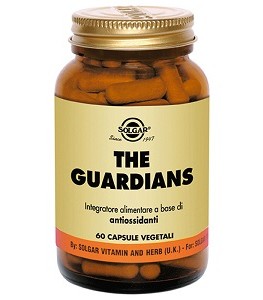 The Guardians 60