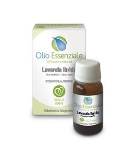 Olio Essenziale Lavanda Ibrida