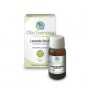 Olio Essenziale Lavanda Ibrida