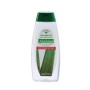 Herbatint Shampoo Normalizzante AloeVera
